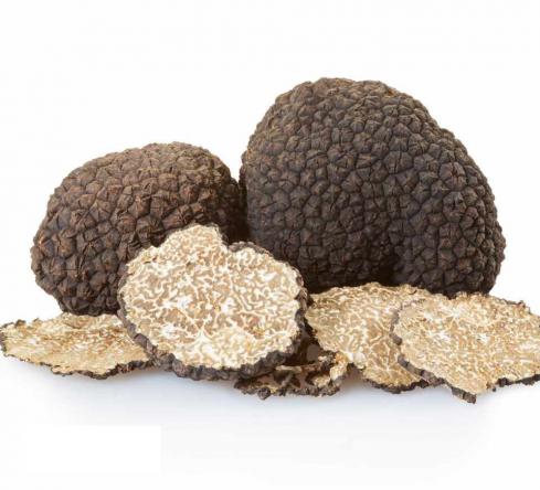 فروشگاه انواع قارچ ترافل Truffle